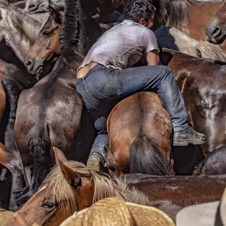 Oda ve Kahvaltı Alma De Santo Tomé